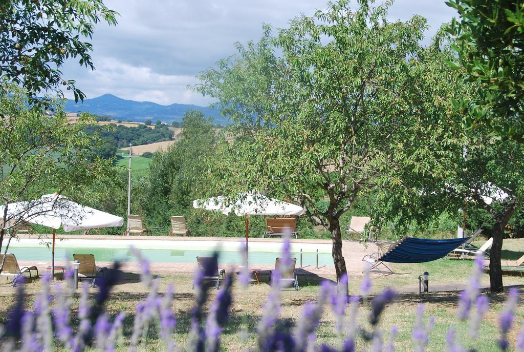 Agriturismo Le Torri Di Porsenna Petrignano Del Lago Zewnętrze zdjęcie