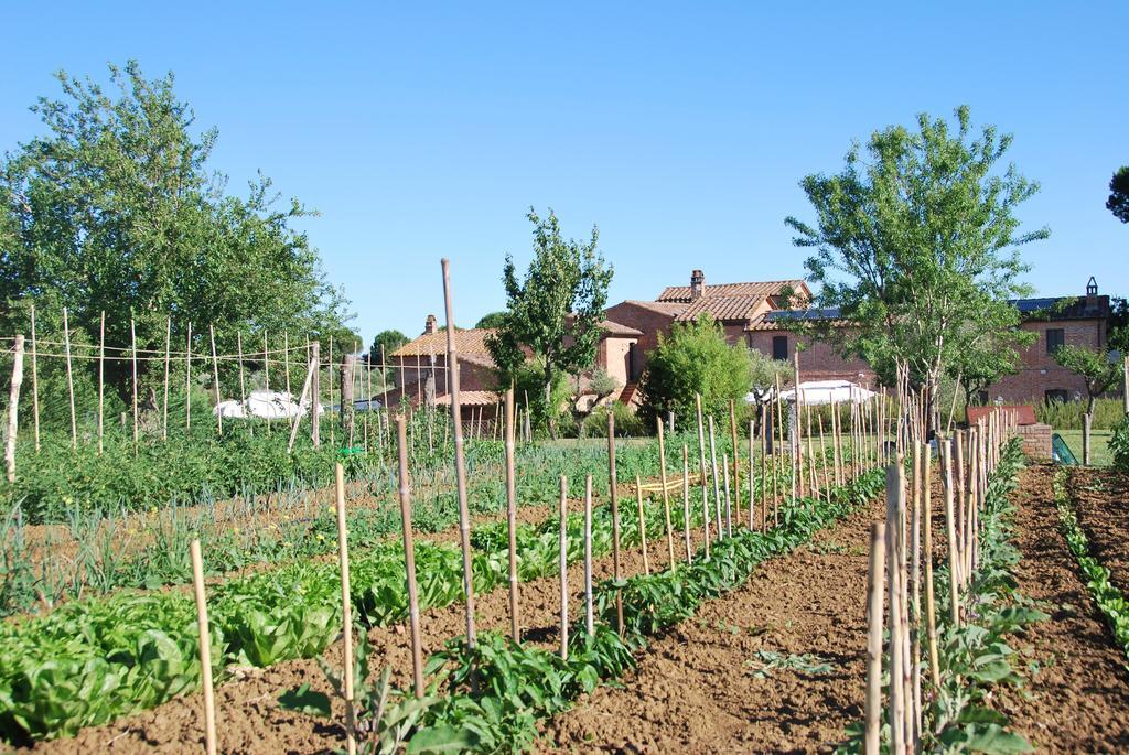 Agriturismo Le Torri Di Porsenna Petrignano Del Lago Zewnętrze zdjęcie